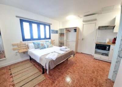 visitar el hierro Tortuga